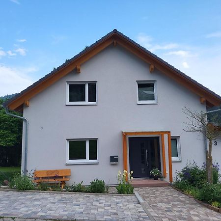Fewo Am Neckarsteig Mit Anbindung An Heidelberg نيكارشتايناخ المظهر الخارجي الصورة