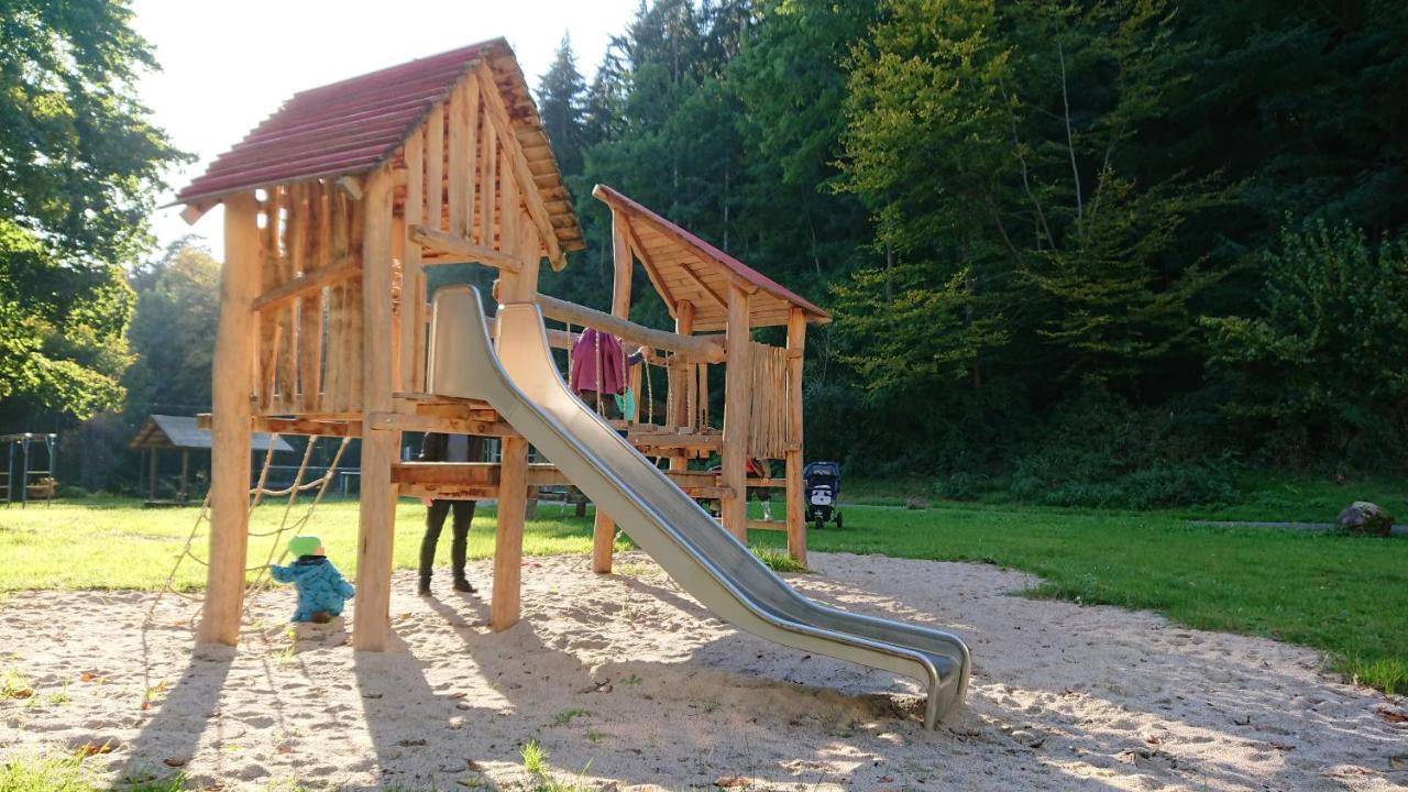 Fewo Am Neckarsteig Mit Anbindung An Heidelberg نيكارشتايناخ المظهر الخارجي الصورة