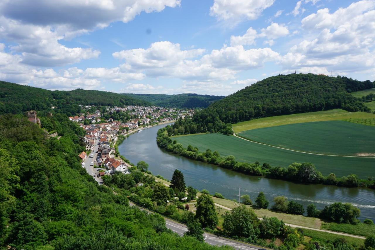 Fewo Am Neckarsteig Mit Anbindung An Heidelberg نيكارشتايناخ المظهر الخارجي الصورة