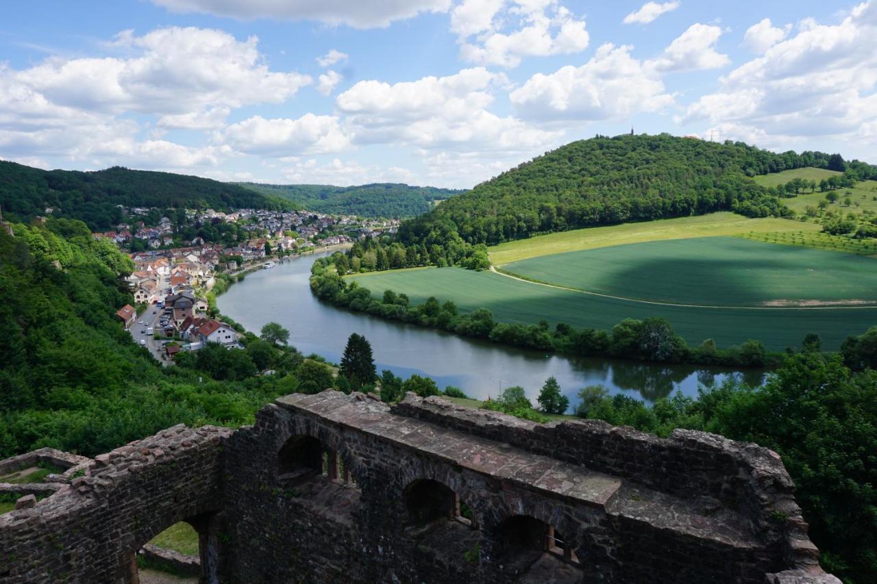 Fewo Am Neckarsteig Mit Anbindung An Heidelberg نيكارشتايناخ المظهر الخارجي الصورة