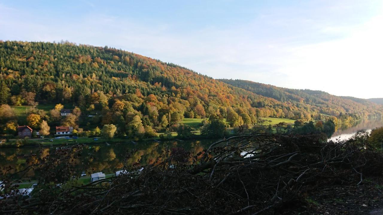 Fewo Am Neckarsteig Mit Anbindung An Heidelberg نيكارشتايناخ المظهر الخارجي الصورة