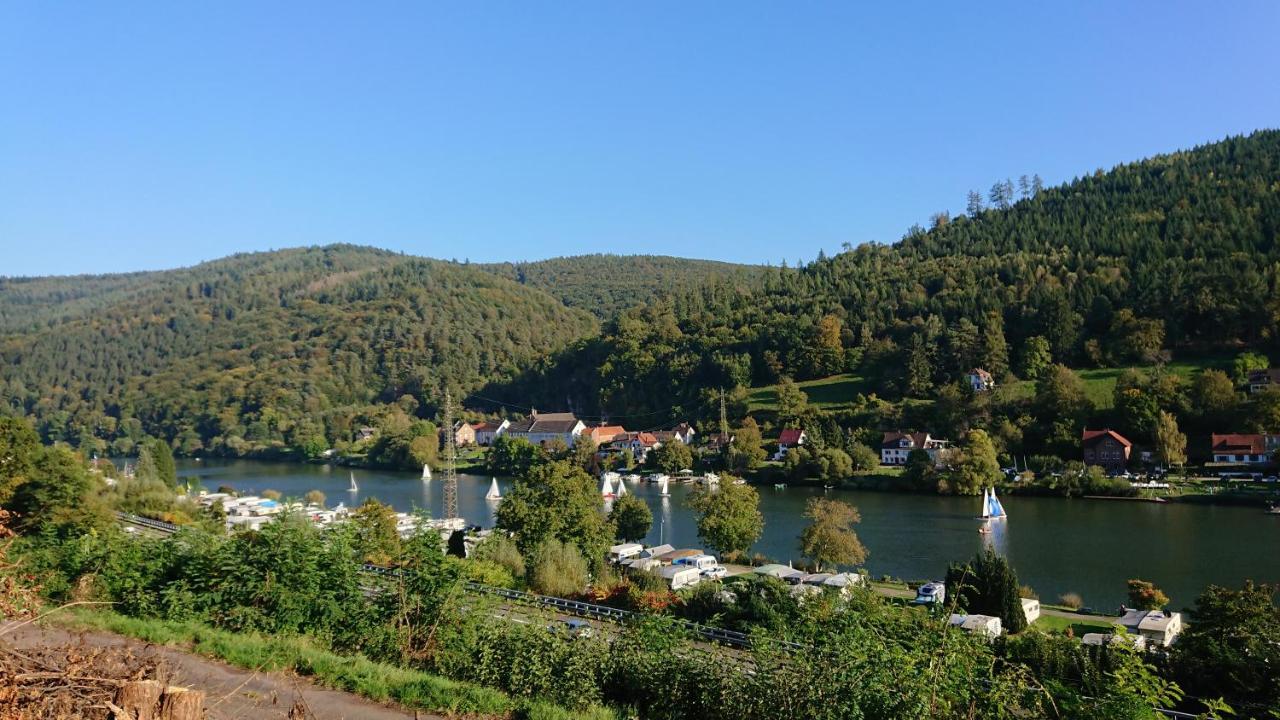 Fewo Am Neckarsteig Mit Anbindung An Heidelberg نيكارشتايناخ المظهر الخارجي الصورة